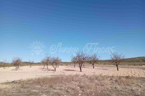 Finca i Caudete, Albacete, Caudete - € 29.995 | Ref: SF0480 - foto 13